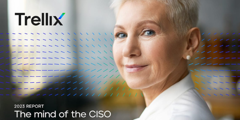 Understanding the CISO's struggle