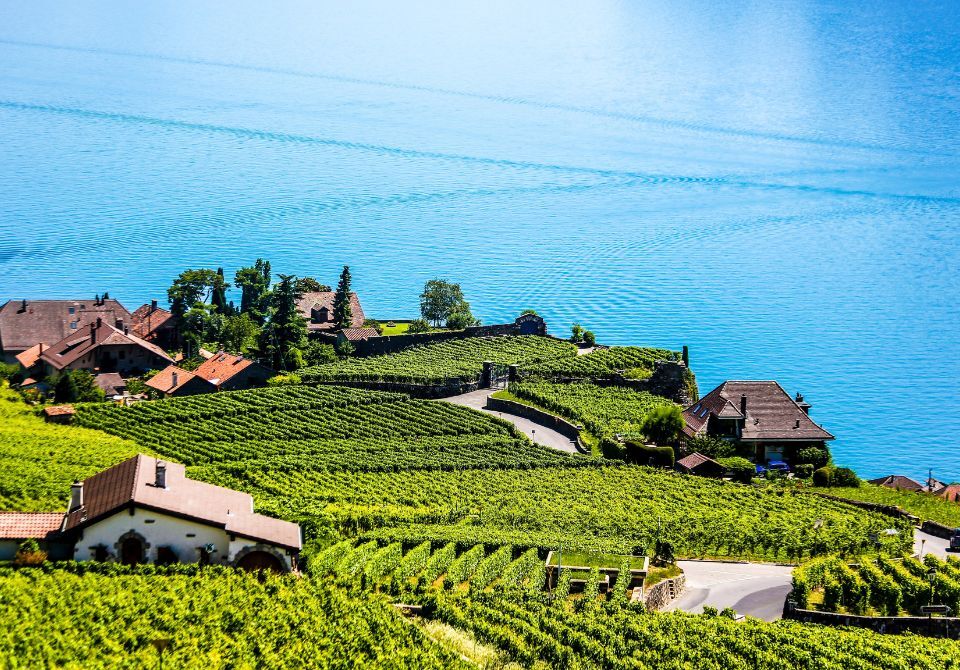 Montreux Jazz Festival (2)
